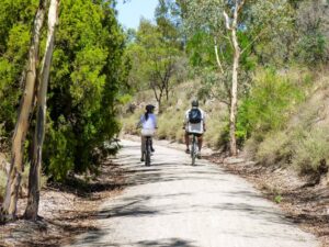 Cruising along near Penwortham [2022]