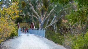 The refurbished and widened Quarry Rd bridge between Sevenhill and Clare is a landmark [2024]