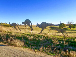 The corrugated iron kangaroos take off as you approach White Hut [2017]