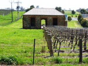 Air-conditioned home just a walk from vineyards, near Lyndoch [2020)