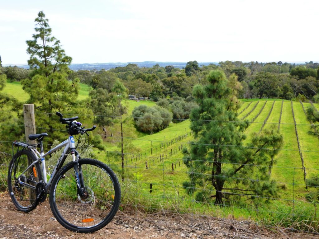 Barossa Rail Trail