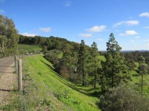 Climbing up to Angaston [2020]