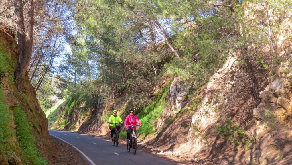 E-bike subsidies to cut transport emissions