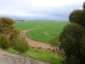 A view from the Wool Rail Trail just north of Blyth [2025]