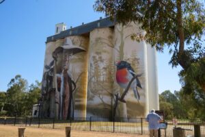 Silo art at Wirrabara [2023]