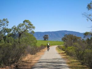 Bastian Creek vegetation near Booleroo Centre (2021)