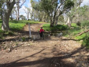 Willochra Creek crossing [2020]