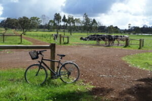 adandi track - south of Margaret River