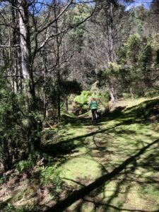 Near the start of the track there is a clearing before it enters the bush. (2022)