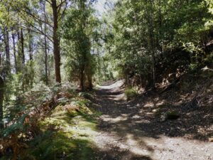 The track surface is quite easily rideable most of the length. (2022)