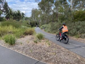The trail starts near Poplar Oval before heading under The Avenue [2023]