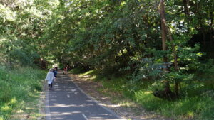 Near Mont Albert Rd, the cutting is a good place to beat the heat [2020]