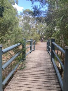The Urban Forest in East Malvern was once a goods yard on the line [2023]