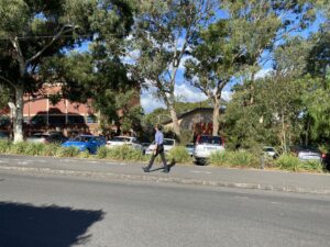 Admiring the gum trees along the trail outside Glenferrie Oval, Hilda Cres, Hawthorn [2023]
