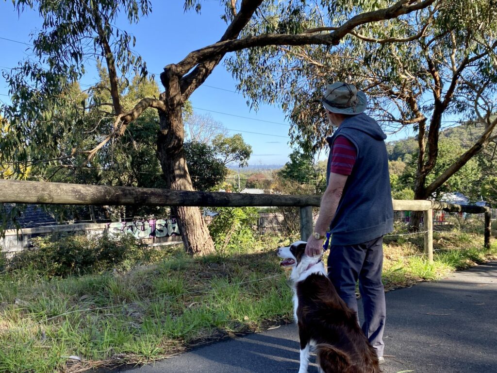 Ringwood to Belgrave Trail