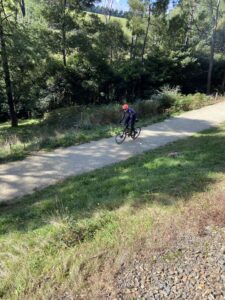 Rider coming down Emerald Bank towards Clematis [2023]