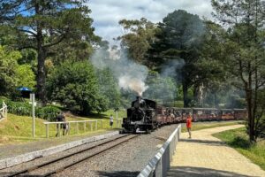 Puffing Billy roars through Clematis Station, passed hotel patrons [2023]
