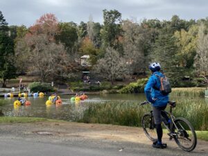Paddle boats are a popular summer attraction at Emerald Lake [2023]