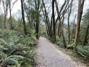 Trail users enjoy the serenity from Lakeside to Wombat Corner [2023]