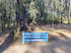 One of few signs from the old trail after Wright Forest [2025]