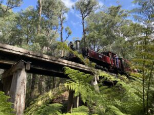 Puffing Billy 12A crosses the 24 m bridge after Wright Station [2025]