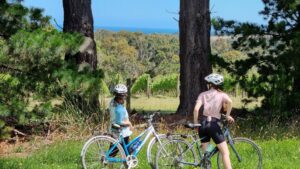 View of Western Port Bay from near the top of the Merricks section [2021]