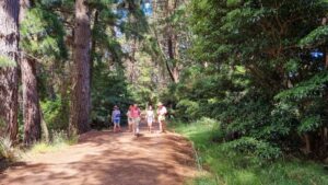 The trail is very popular with walkers [2021]