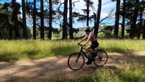 Wineries abound on both sides of the rail trail [2021]