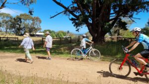Further views out to Western Port Bay and Phillip Island as you approach Red Hill [2021]
