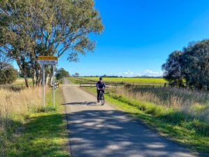 Enjoying the sunshine near Clifton Ave on the way to Leopold [2023]