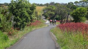There are some undulations beside the railway [Reg Quelch 2016]