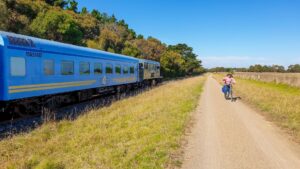 The leisurely pace of The Q Train allows plenty of time to wave [2021]