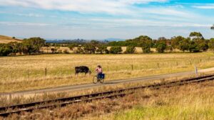 Between Suma Park and Lakers with Swan Bay in the background [2021]