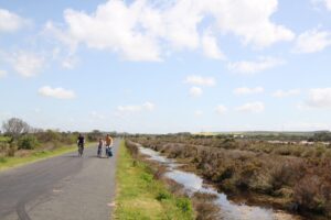 On-road section along Murray Rd between Lakers and Queenscliff [2009]