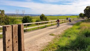 Scenery between Lilydale and Coldstream on the Yarra Valley Trail [2020]