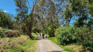 Riding up and walking down between Lilydale and Mt Evelyn [2021]