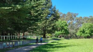 The peaceful site of Wandin Station, minus buildings [2021]