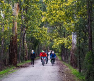 Spring and wattyls in bloom in Seville [2015]