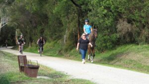 The busy rail trail welcomes all users, here at Killara [2020]