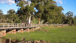 Restored with CFA help, Woady Yallock bridge is longest on trail [2020]