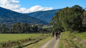 Typical scenery, here at Woori Yallock [2020]