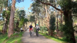 Enjoying the trail at Yarra Junction [2020]