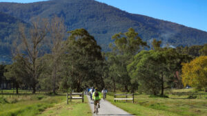 The scenery at Wesburn with Mt Donna Buang in the background [2020]