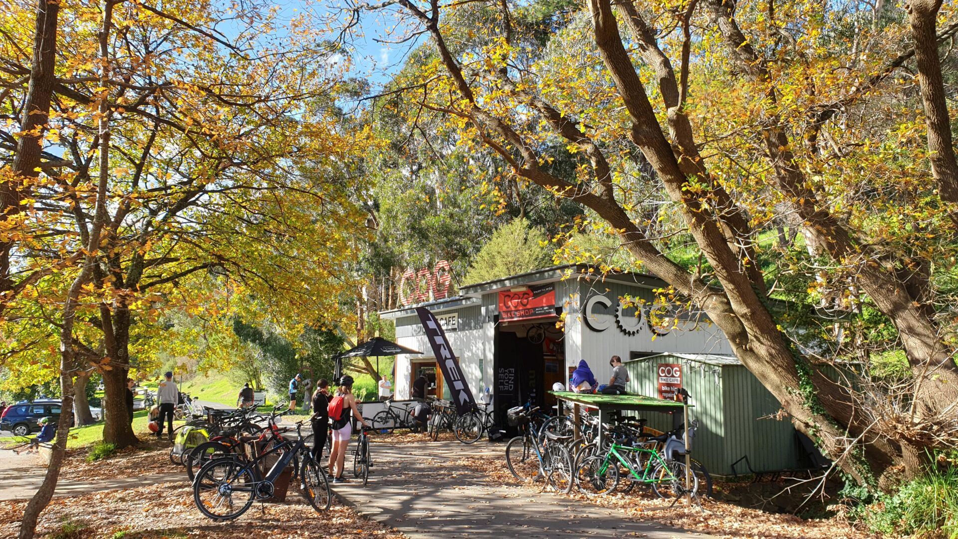 V13-500-Warburton-2020-05-30_112842-ECONOMY