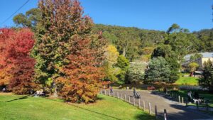 The Yarra River is a feature of Warburton, with walks and picnic spots [2024]