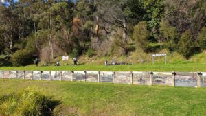 Warburton Station site is a great place for a picnic. Don't miss the paintings on the platform wall (2020)
