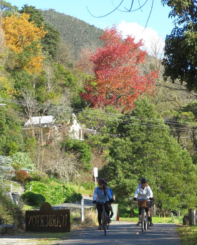 Riding on the wonderful Lilydale to Warburton Rail Trail