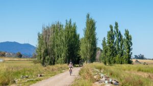 The scenery between Coldstream and Yering [2022]