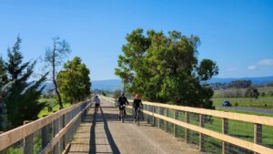 Not many trees on the stretch to the current end of the trail [2025]