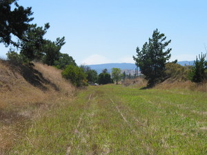 On-line Survey for Proposed Yarra Valley Rail Trail (Vic)